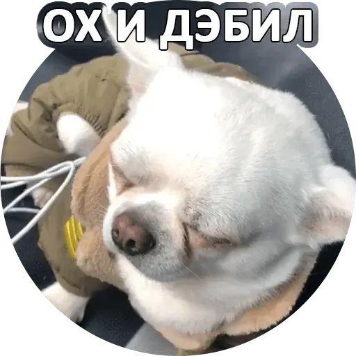 Стикер «Себек-11»