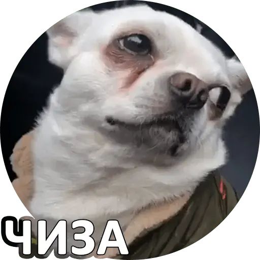 Стикер «Себек-12»