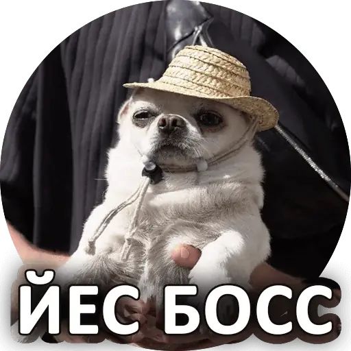 Стикер «Себек-3»