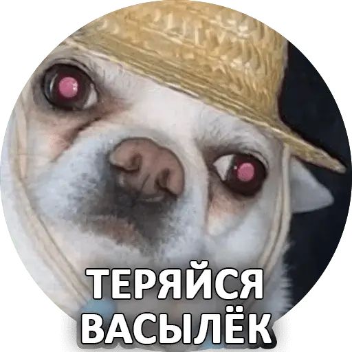 Стикер «Себек-4»