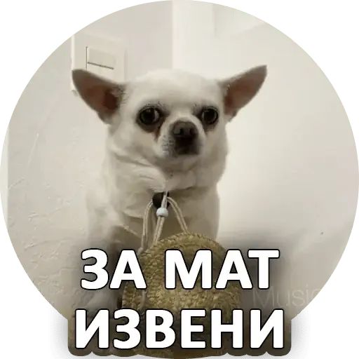 Стикер «Себек-6»