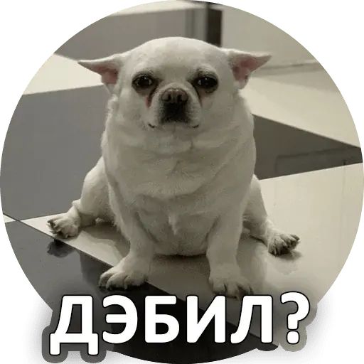 Стикер «Себек-8»