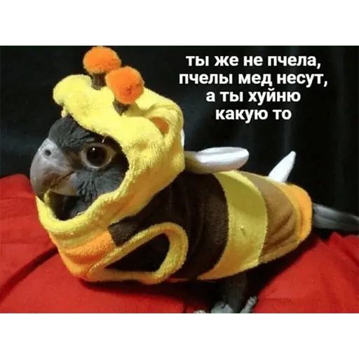 Стикер «Попуги-10»