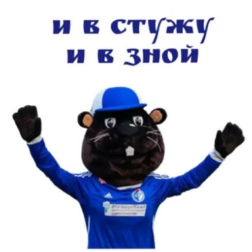 Стикер «Факел-6»