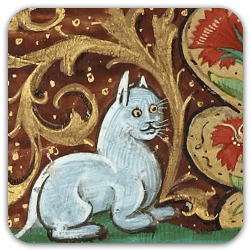 Стикер «Средневековые коты-3»