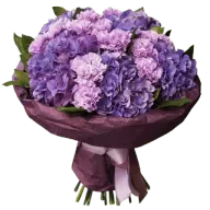 55.webp