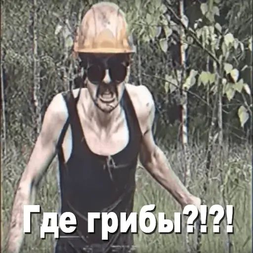Стикер «Игорь Катамаранов-1»