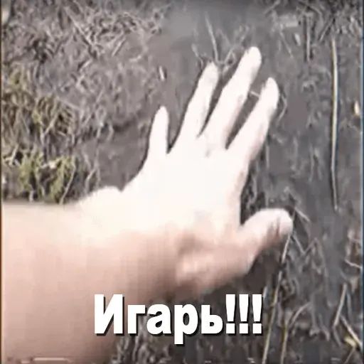 Стикер «Игорь Катамаранов-2»