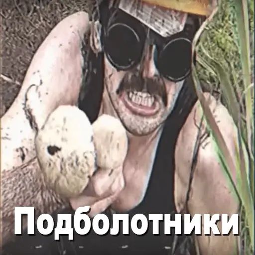 Стикер «Игорь Катамаранов-3»