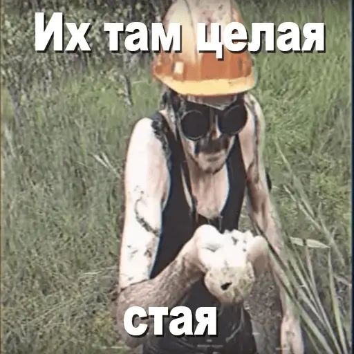 Стикер «Игорь Катамаранов-4»