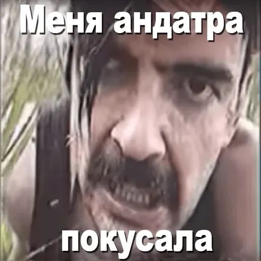 Стикер «Игорь Катамаранов-5»