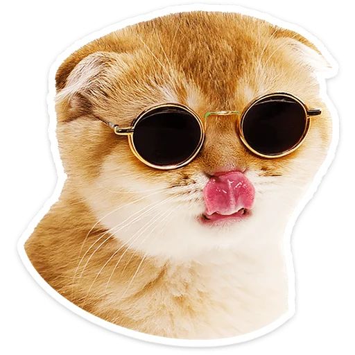 Стикер «Котятки-4»