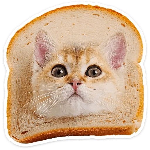 Стикер «Котятки-6»