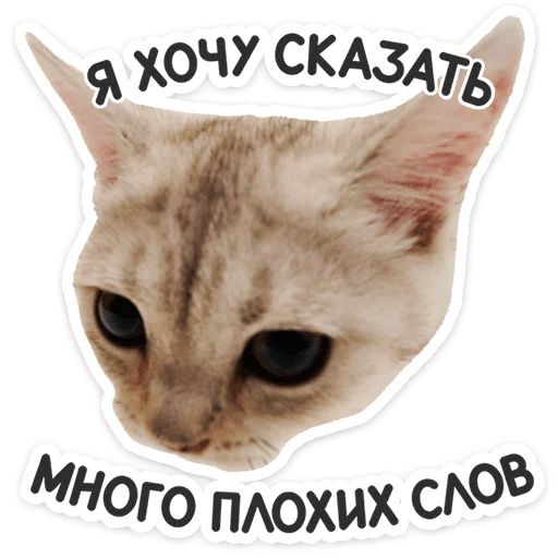 Стикер «Котятки-9»