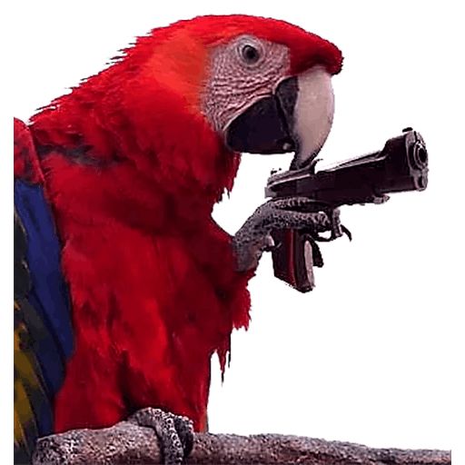 Стикер «Блядские попугаи-7»