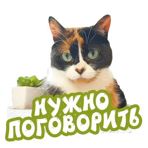 Стикер «Сливки шоу-8»