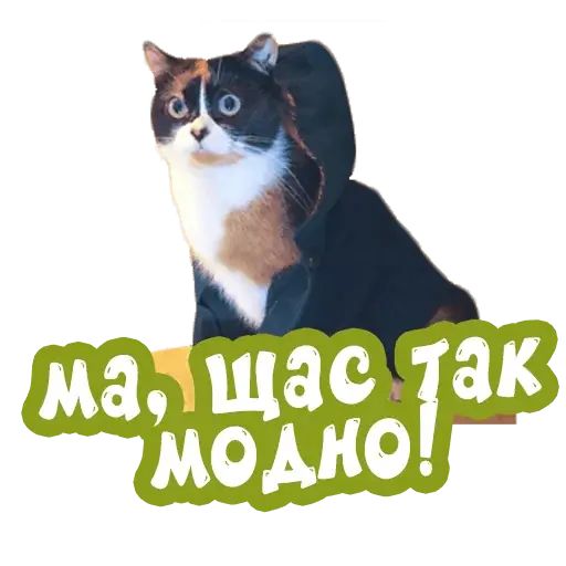 Стикер «Сливки шоу-9»