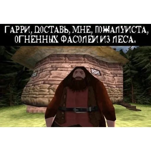 Стикер «Гарри Поттер-10»