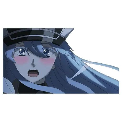 Стикер «Esdeath-10»