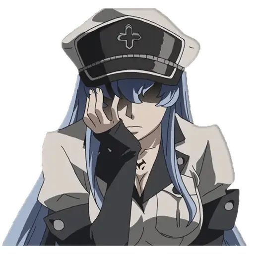 Стикер «Esdeath-11»