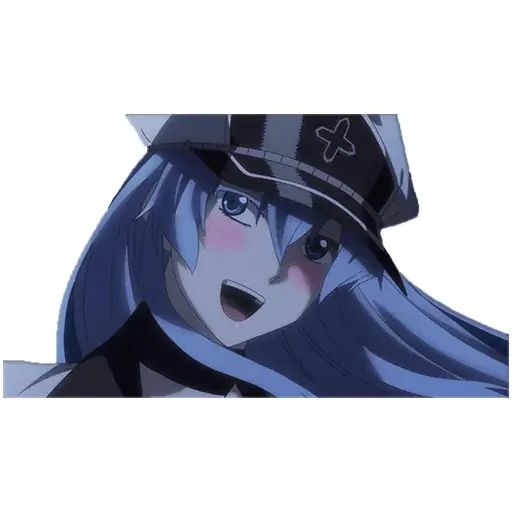 Стикер «Esdeath-4»