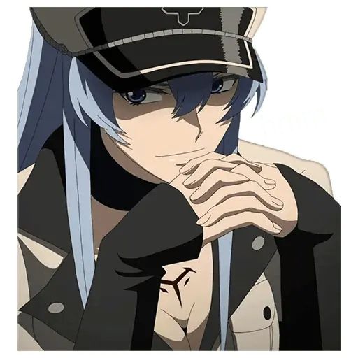 Стикер «Esdeath-6»