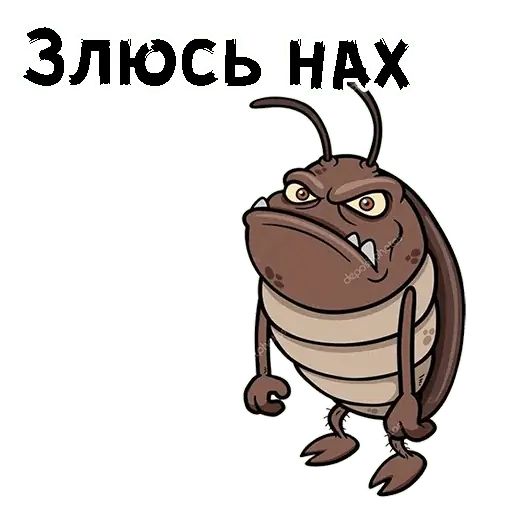 Стикер «Таракашки-3»
