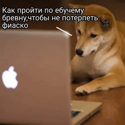 Стикер «Это фиаско, братан-1»