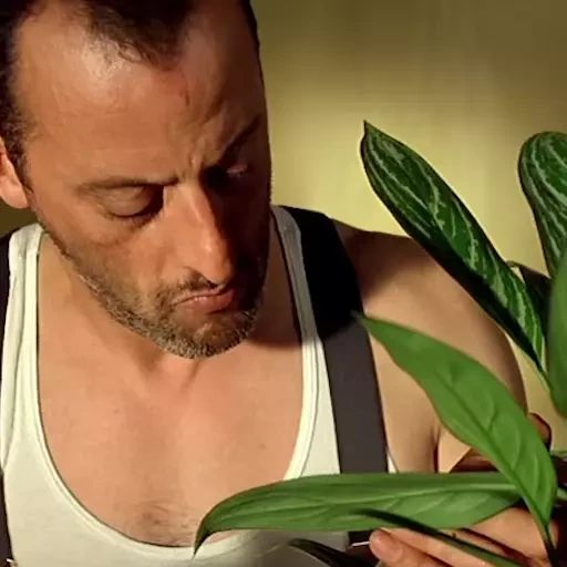 Стикер «Леон-3»