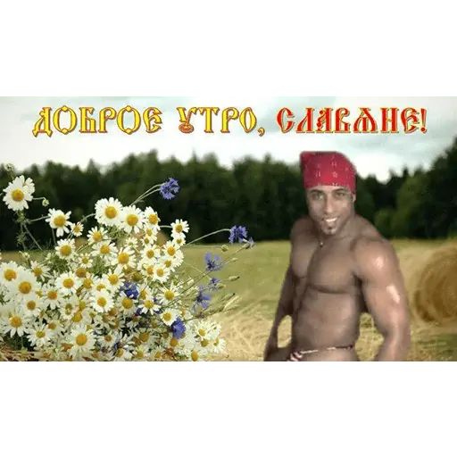 Стикер «Нахуй я родился-11»