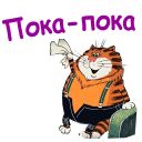 Набор стикеров «Попугай Кеша 3»