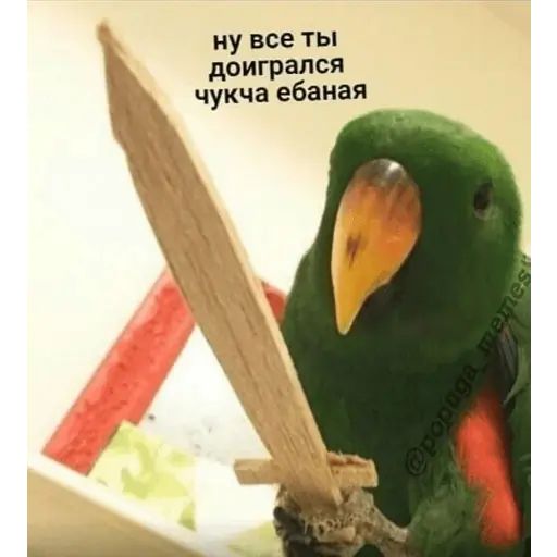 Стикер «Попуги-5»