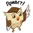 Набор стикеров «Togulife»