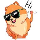 Набор стикеров «Флеш из Блэкгрумер»