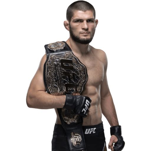 Стикер «UFC-10»