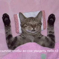 33.webp