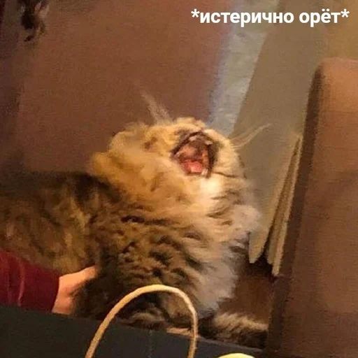 Стикер «Жизень-11»