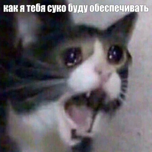 Стикер «Жизень-12»