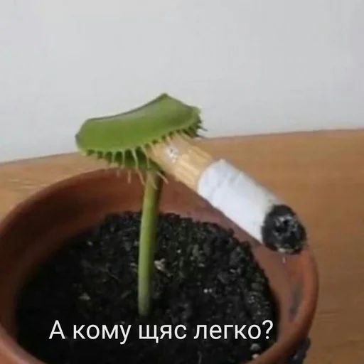 Стикер «Жизень-7»
