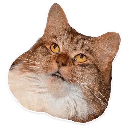Стикер «Коти-8»