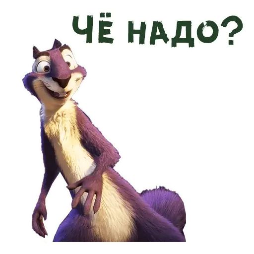 Стикер «Реальная белка-2»