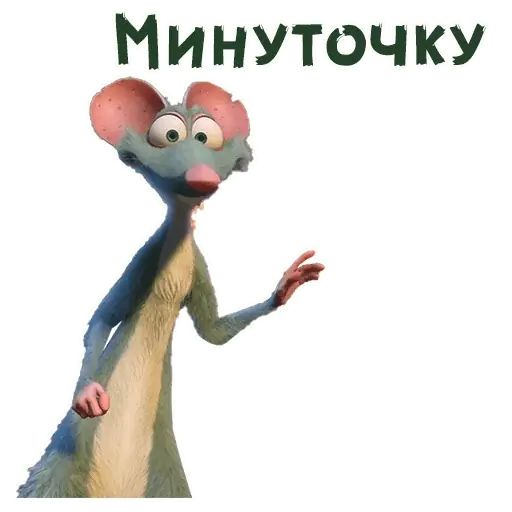 Стикер «Реальная белка-3»