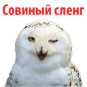 Набор стикеров «?Совиный Сленг»