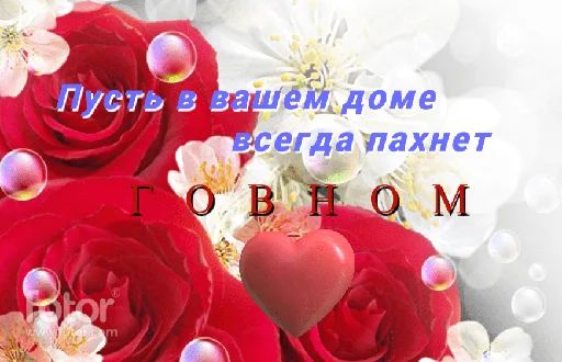 Стикер «День говна-1»