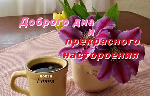 Стикер «День говна-2»