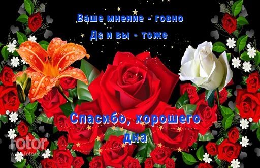 Стикер «День говна-4»