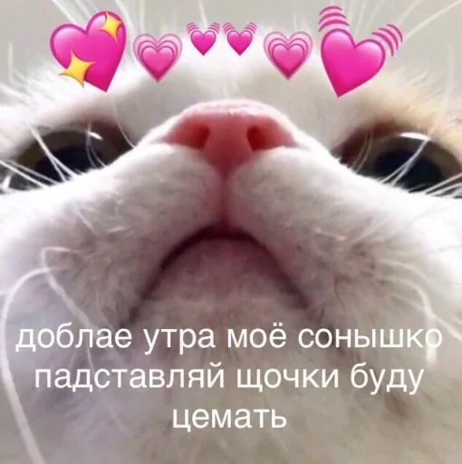 Стикер «утро 🥱/ спок нок 😴-10»