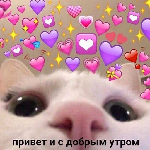 Стикер «утро 🥱/ спок нок 😴-8»