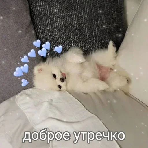 Стикер «утро 🥱/ спок нок 😴-9»