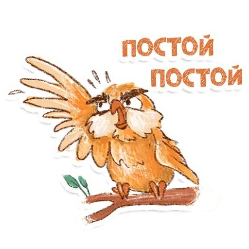 Стикер «Сова-5»